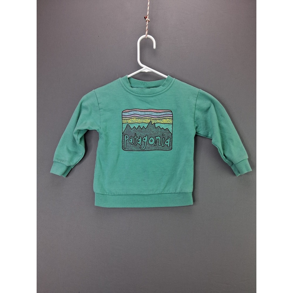 Patagonia Sweatshirt Toddler 4T Teal Green Mountain Graphic Fleece Pullover 1380
